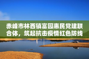 赤峰市林西镇富园惠民党建联合体，筑起抗击疫情红色防线