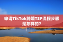申请TikTok跨境TSP流程步骤是怎样的？