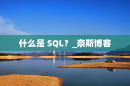 什么是 SQL？_奈斯博客