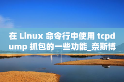 在 Linux 命令行中使用 tcpdump 抓包的一些功能_奈斯博客