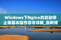 Windows下Nginx的启动停止等基本操作命令详解_奈斯博客