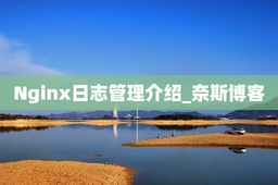 Nginx日志管理介绍_奈斯博客