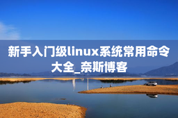 新手入门级linux系统常用命令大全_奈斯博客