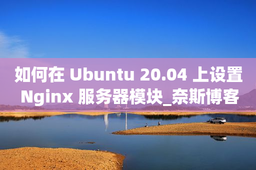 如何在 Ubuntu 20.04 上设置 Nginx 服务器模块_奈斯博客