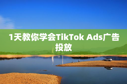 1天教你学会TikTok Ads广告投放